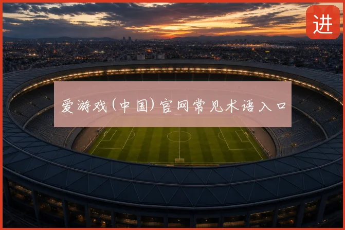 爱游戏(中国)官网常见术语入口